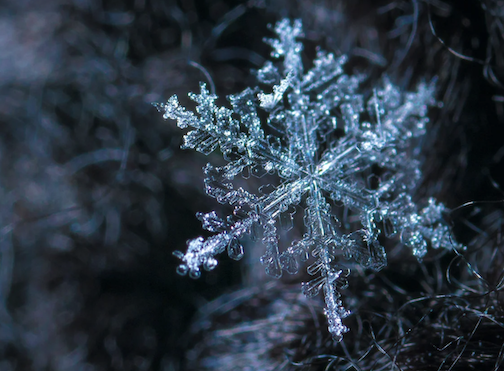 Snowflake Party!