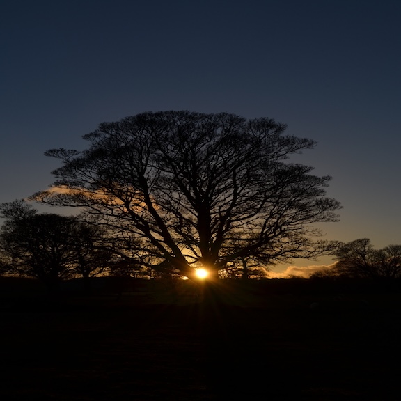 Solstice Service